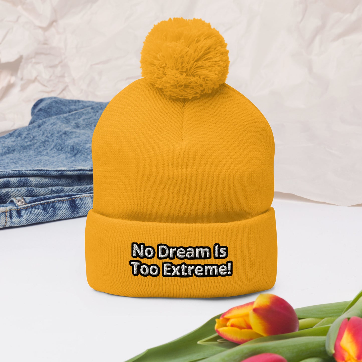 No Dream Is Too Extreme! Pom-Pom Beanie